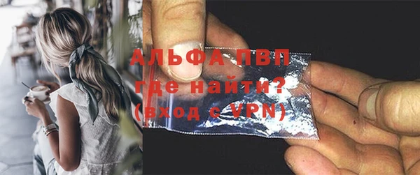 Альфа ПВП Инта