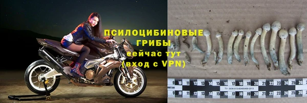 сатива Иннополис