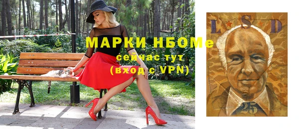 сатива Иннополис