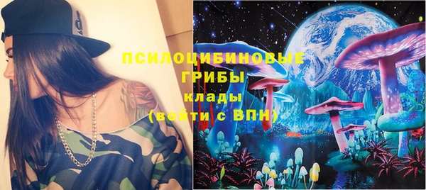 сатива Иннополис