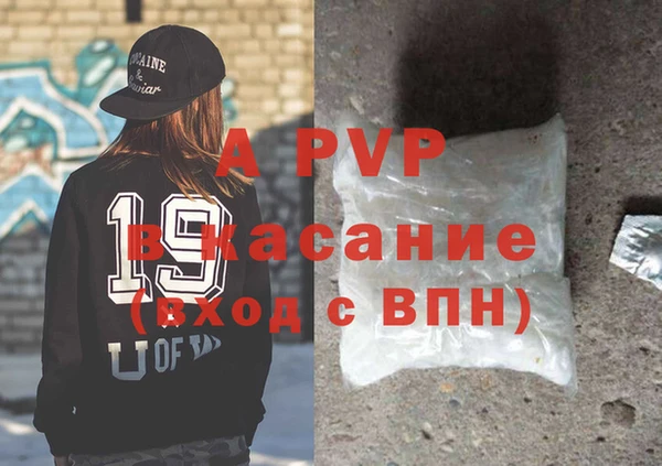 сатива Иннополис
