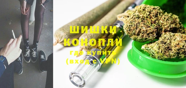 сатива Иннополис