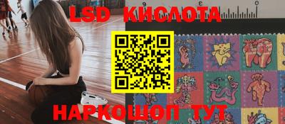 сатива Можайск