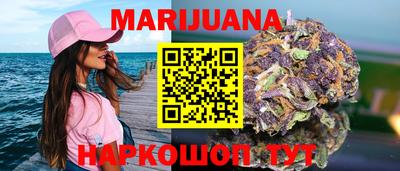 сатива Можайск