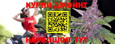 сатива Можайск