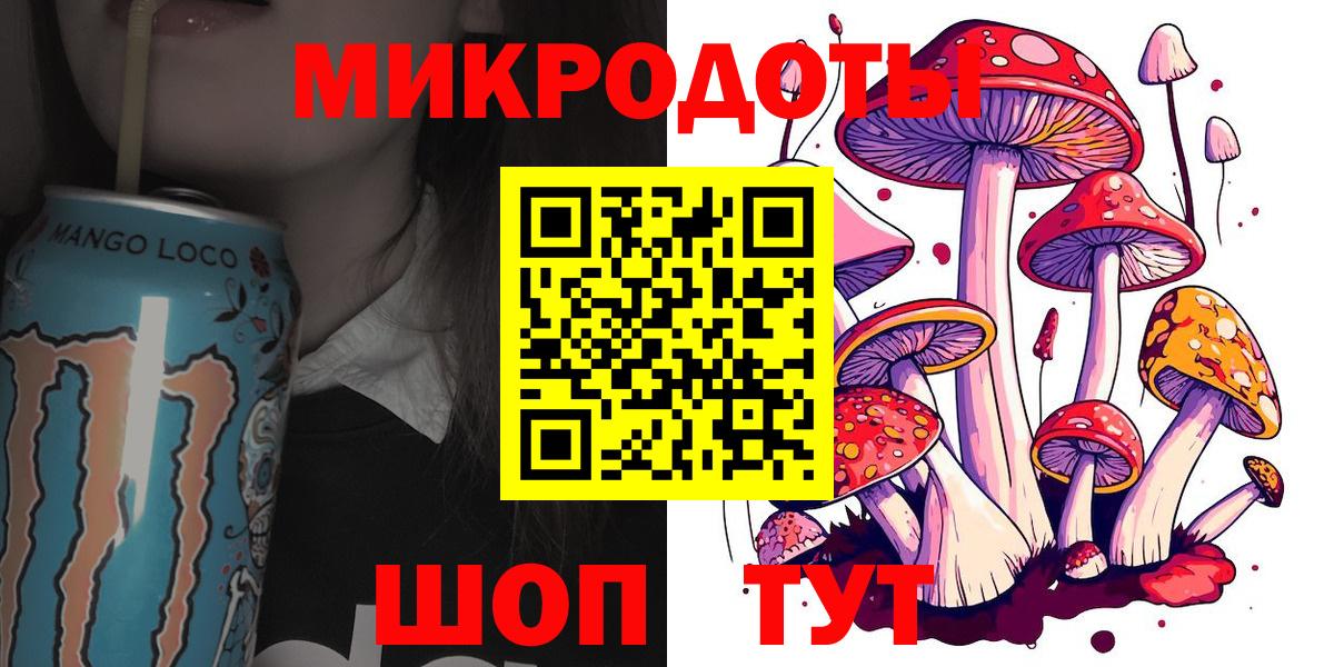 Псилоцибиновые грибы Psilocybine cubensis Невинномысск