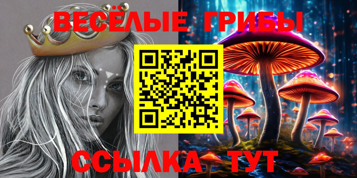 Галлюциногенные грибы Psilocybe  Вход с VPN  хочу   Невинномысск 